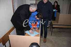 DRAGAN SUTANOVAC Voting