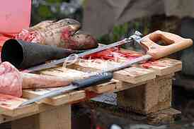 Pig slaughter