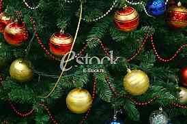 Christmas tree in a full length