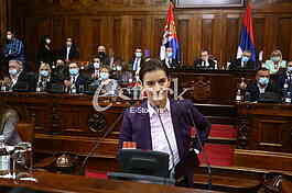 Ana Brnabic