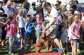 The first international festival of pets 