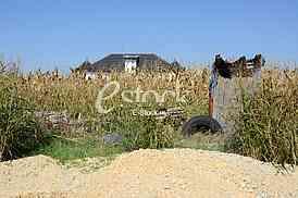 House of singer Seka Aleksic in the middle of a corn field in Stara Pazova