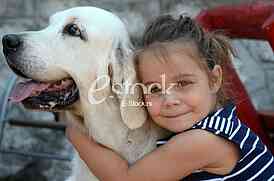 The first international festival of pets 