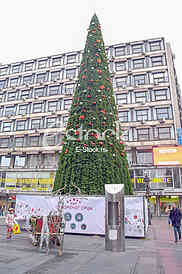 Christmas tree