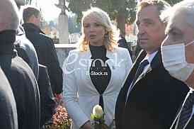 Dan primirja u Prvom svetskom ratu