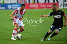 Milan Gajic
