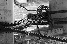Black and white armature