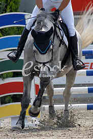 Equestrian Sport