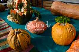 competition for the heaviest pumpkin, and for the most beautiful piece of pumpkin, market Zemun