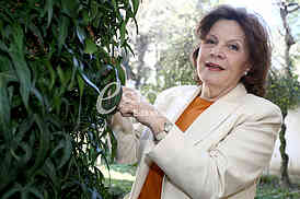 Prof. dr. Snezana Veljkovic