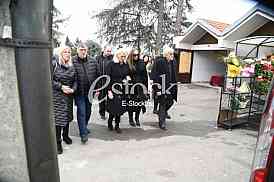 Goga Sekulic Porodica