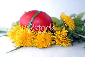 Dyeing of Easter egg