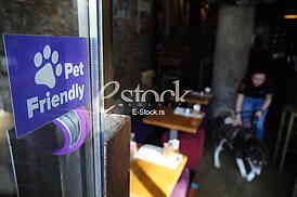 Pet Friendly