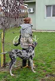 Association for adoption dogs 