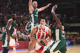 CRVENA ZVEZDA vs PANATHINAIKOS ATHENS