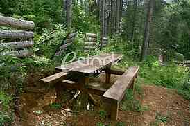 Picnic place in forest bench of wood in the woods