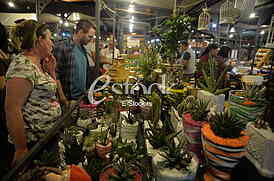 Beogradski Nocni Market