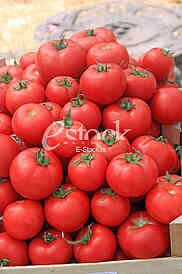 Belgrade, 14. 06.2018., Tomatoes the market