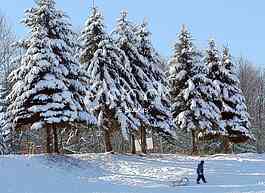 Winter