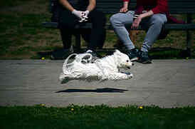 Suncan dan i koronavirus