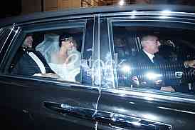 Veljko Raznatovic Bogdana Rodic