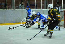 Ice hockey
