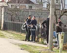 Darko Lazic Katarina