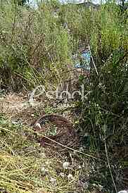 Gypsy got electrocuted, landfill in Rakovica