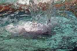 fountain