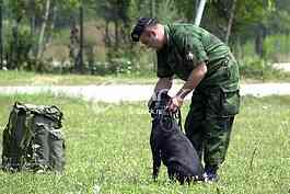 Army of Serbia