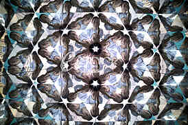 Museum of illusions







