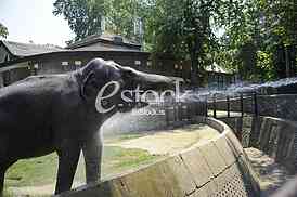 Belgrade zoo on summer day