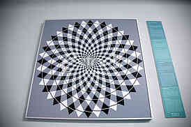 Museum of illusions







