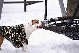winter
