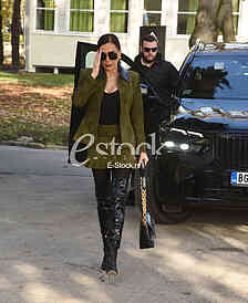 Svetlana Ceca Raznatovic