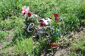 Mound in Crvenka where the murder Jelena Marjanovic from Borce