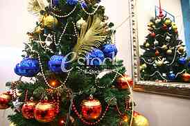 Christmas tree in a full length