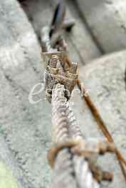 Steel cable