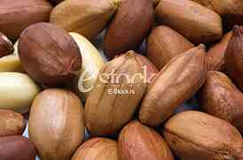 Peanut
