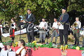 Topola Oplenacka berba