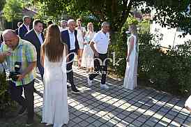 Vojin DJordjevic SVetislav Pesic