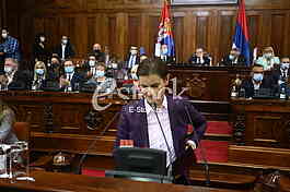 Ana Brnabic