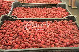 Belgrade, 14. june 2018., Raspberries on the market