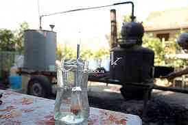 





























Making brandy 
