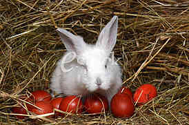 Easter eggs