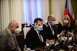 Dacic Petricek