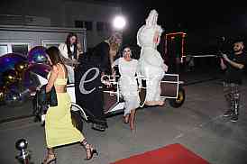 Aleksandra Nikolic Milosava