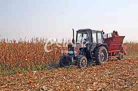 Agriculture