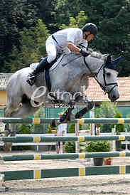 Equestrian Sport