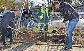 planting trees, military barracks 